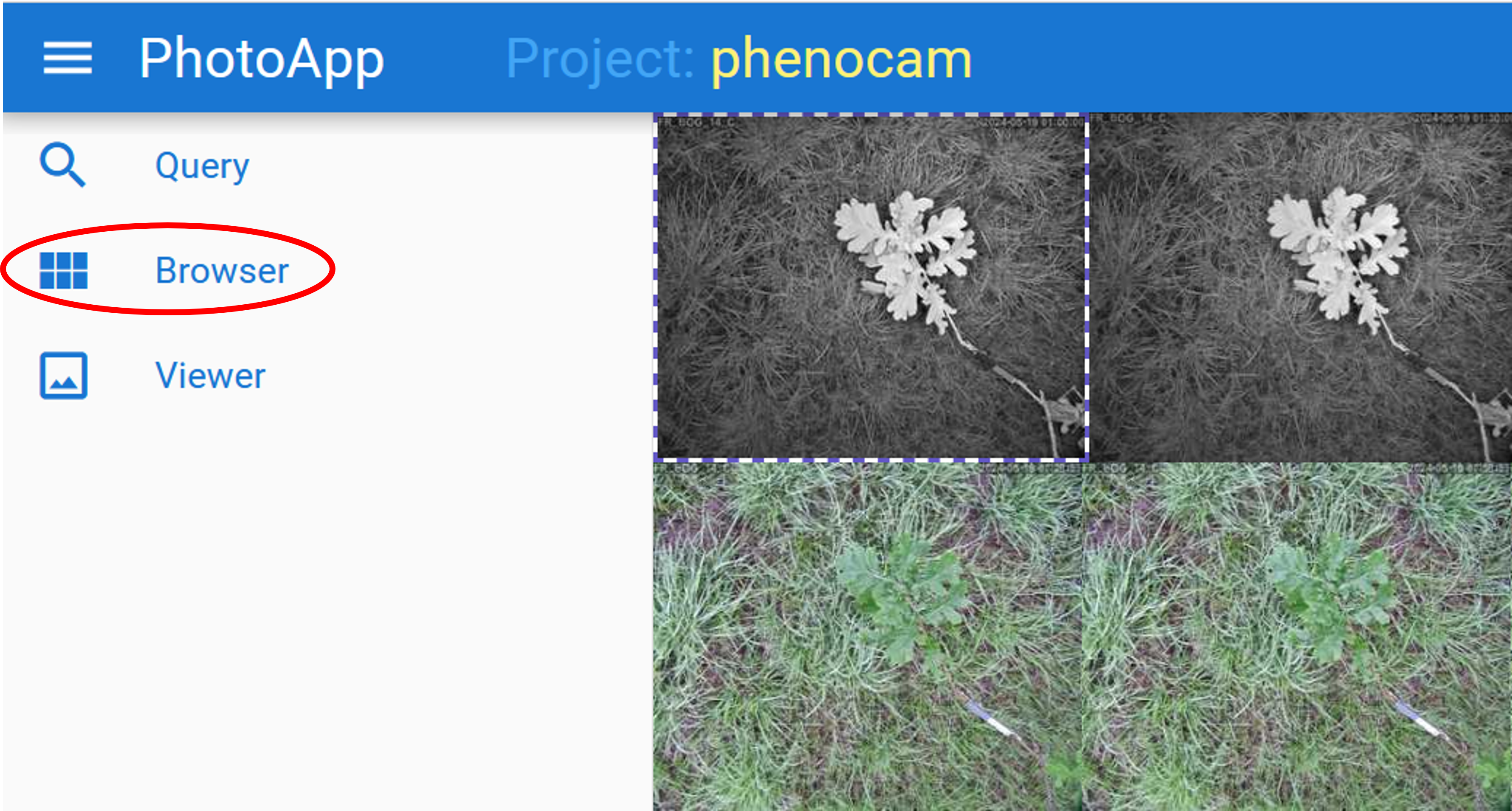 PhotoApp Browser