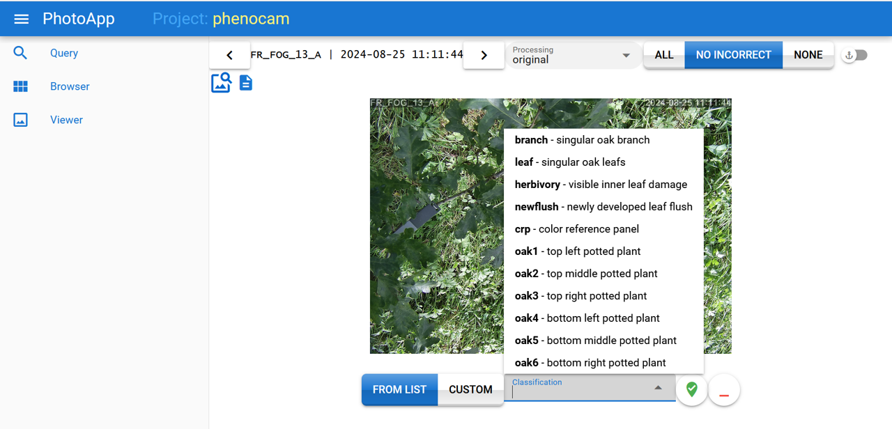 PhotoApp classification definition drop down menu
