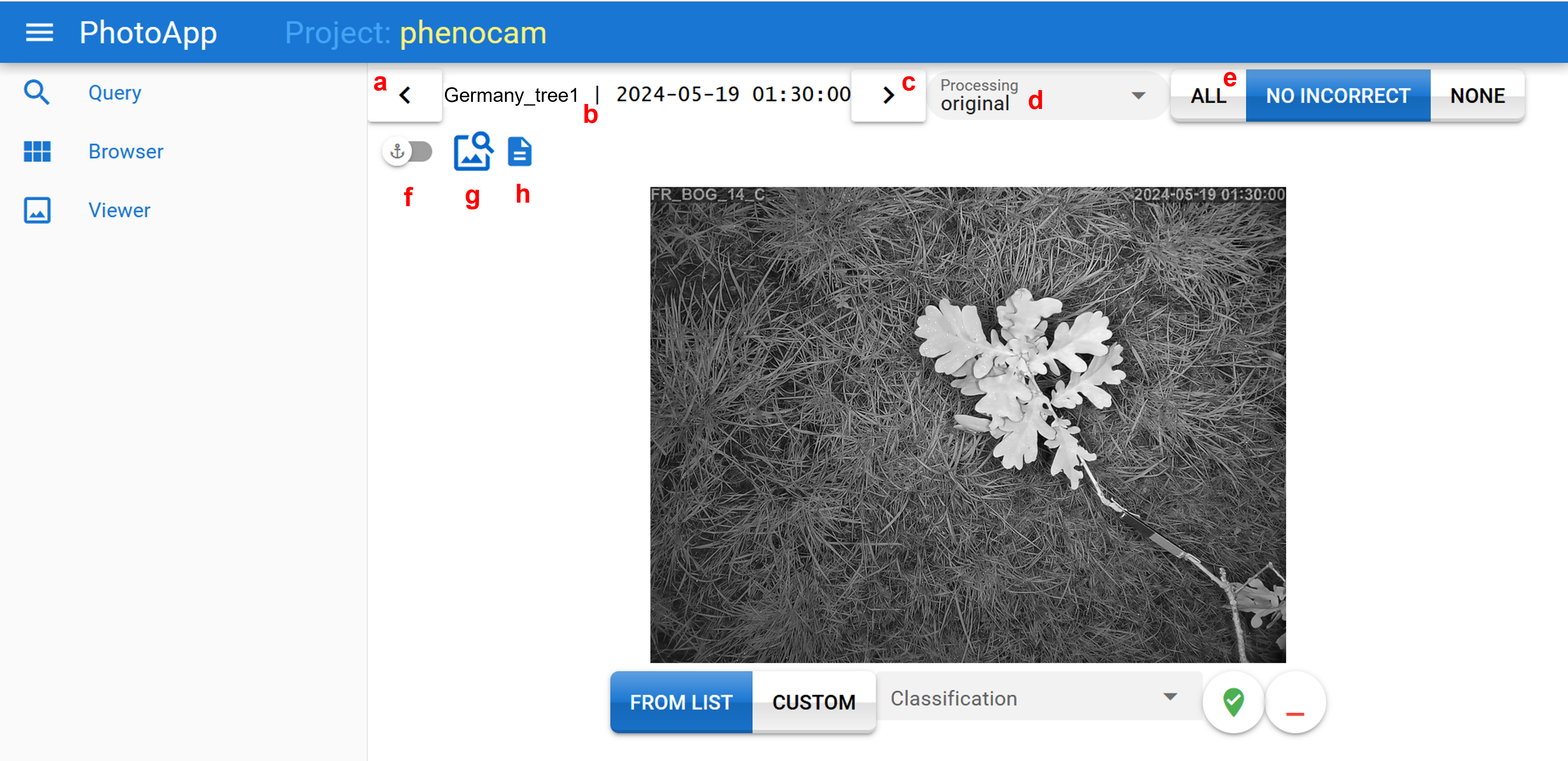 PhotoApp Viewer Overview